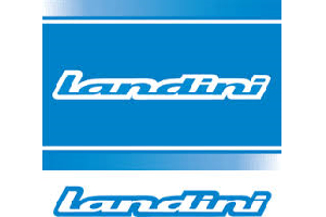 Venta repuesto LANDINI RECAMBIO ORIGINAL
